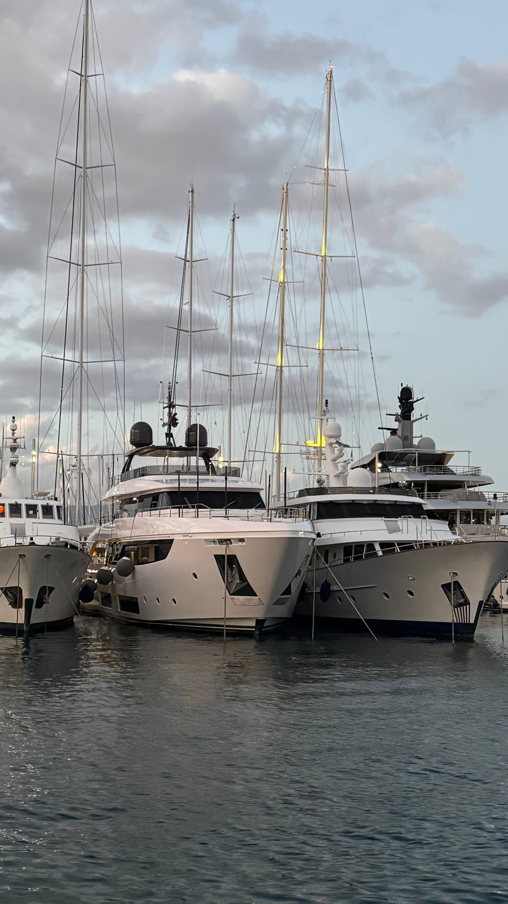 Motor yachts moored side by side in a marina
